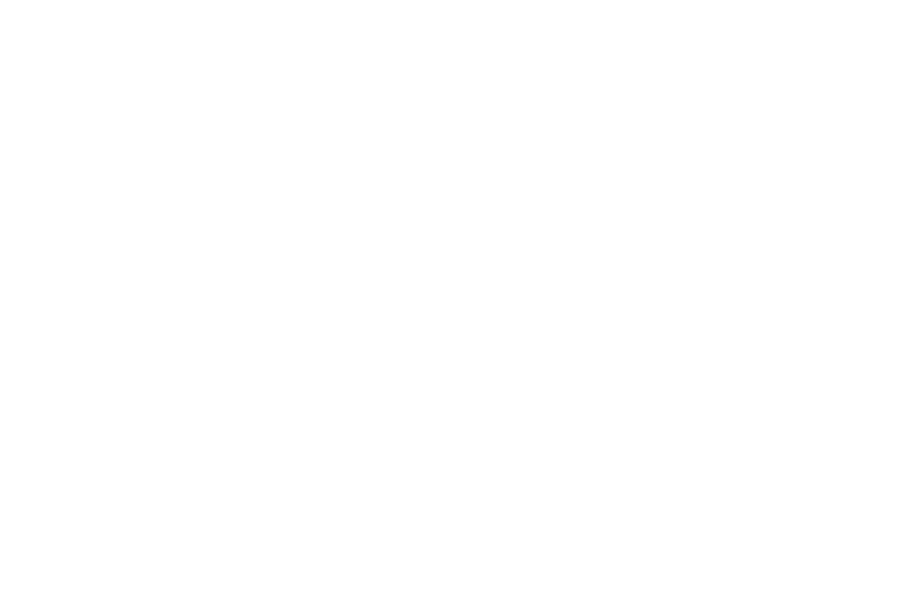 El grupo zitro-logo